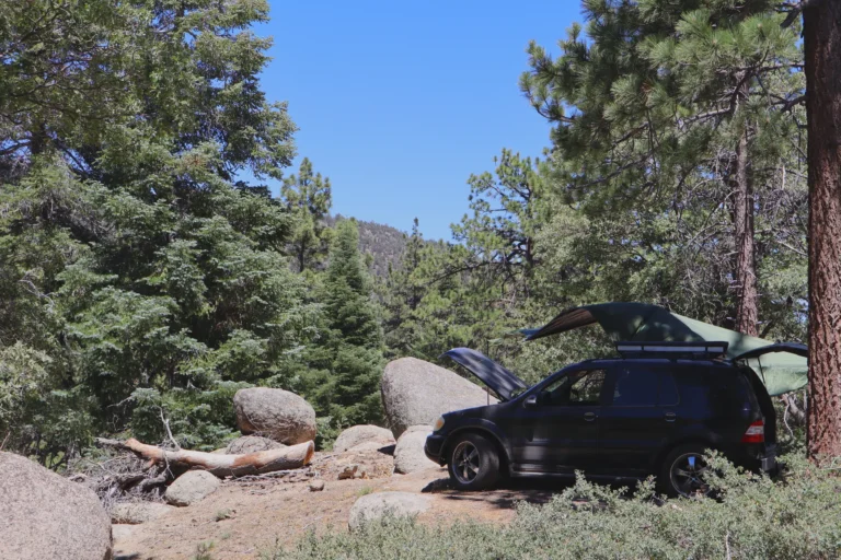 San Bernardino Forest Hero Shot with Mercedes ML350