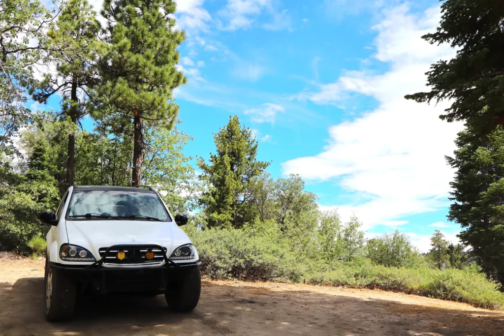 2026_07_BigBear_Vehicles_ML320_Stance_TreesBackground