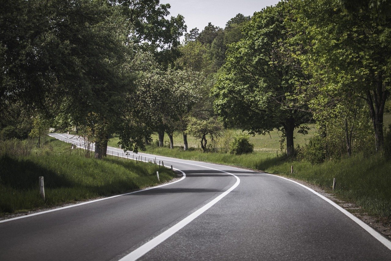 road, desktop backgrounds, highway, asphalt, free wallpaper, cool backgrounds, trees, wallpaper 4k, 4k wallpaper, beautiful wallpaper, travel, nature, landscape, wallpaper, background, windows wallpaper, woods, beautiful nature, green, nature background, 4k wallpaper 1920x1080, transylvania, nature wallpaper, free background, romania, mac wallpaper, full hd wallpaper, trip, laptop wallpaper, motorway, way, hd wallpaper, wallpaper hd, roadway