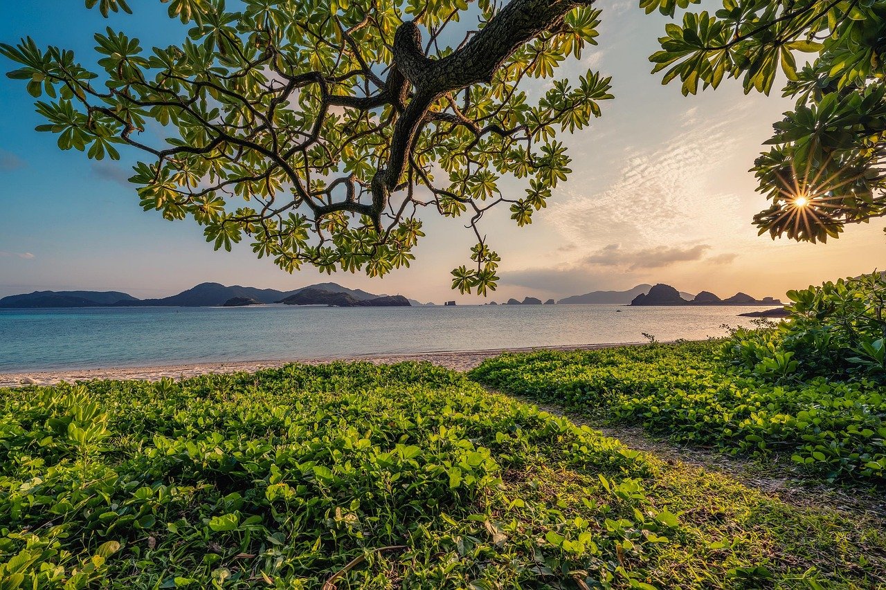 sunset, sand, beach, nature, islands, leaf, nature background, subtropical, beautiful nature, okinawa, japan, landscape, hd wallpapers, hd wallpaper, nature wallpaper