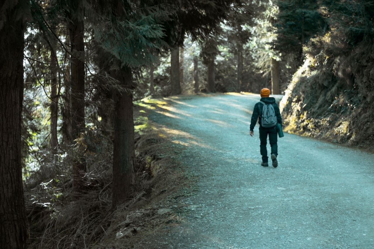 Man walking down a dirt road surrounded by forest trees, light filtering through the foliage.