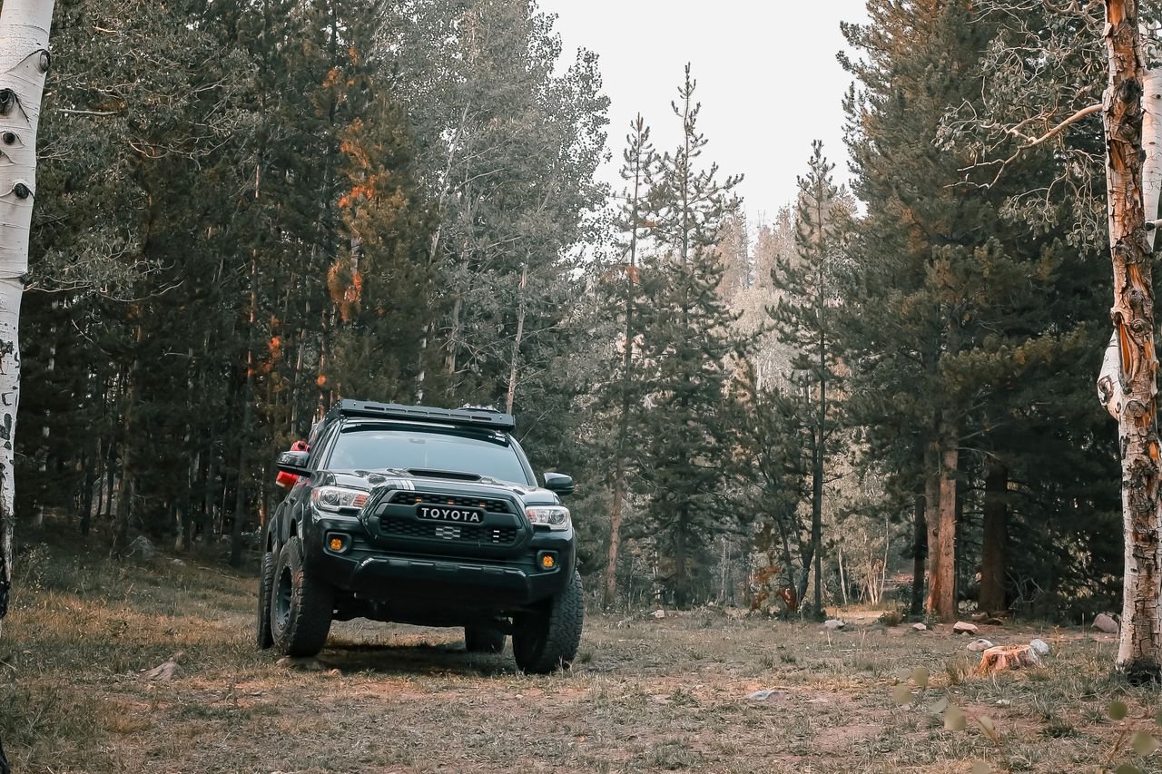 A black Toyota Tacoma pickup truck parked in a serene forest landscape.