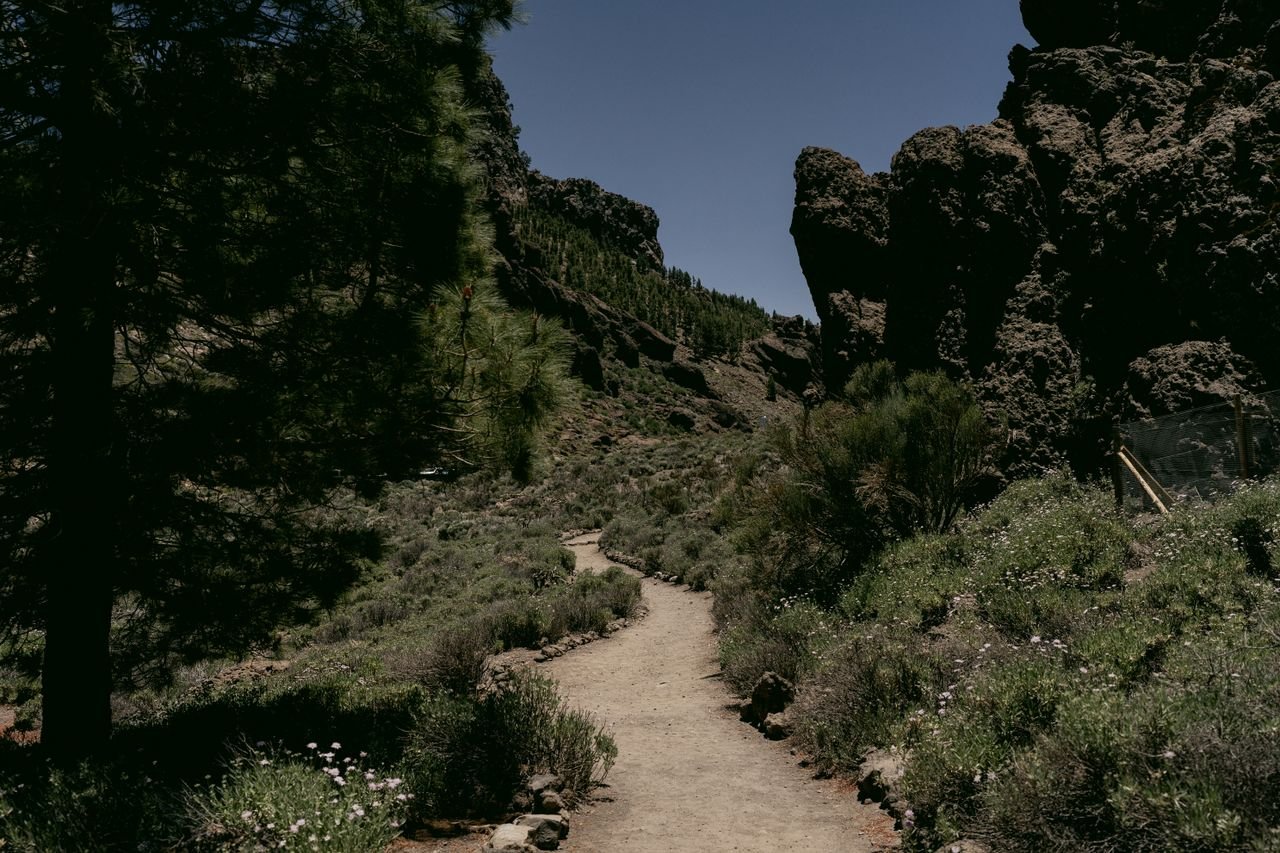 A serene hiking trail with rocky formations and greenery under a clear blue sky.