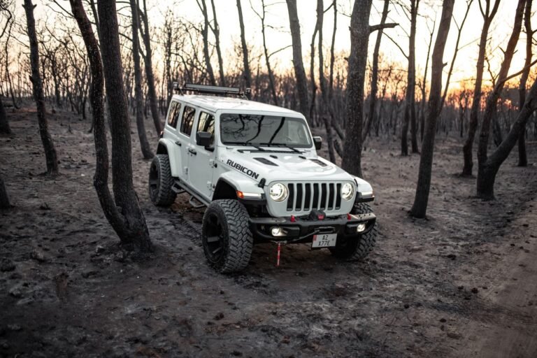 A rugged 4x4 vehicle navigating a bare forest landscape at sunset, ideal for off-road enthusiasts.