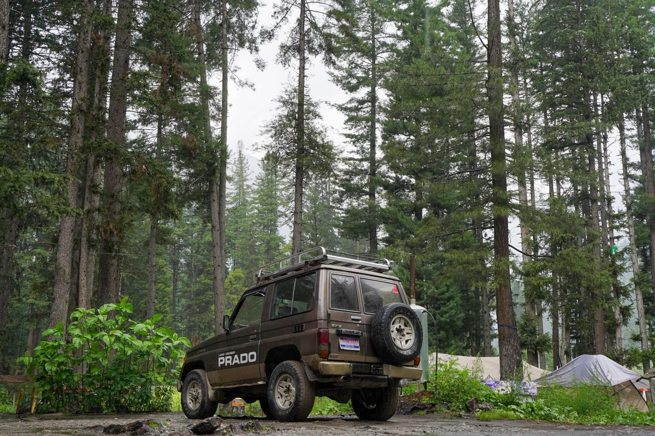 A rugged Toyota Prado SUV parked amidst a lush and dense evergreen forest, ideal for offroad adventures.