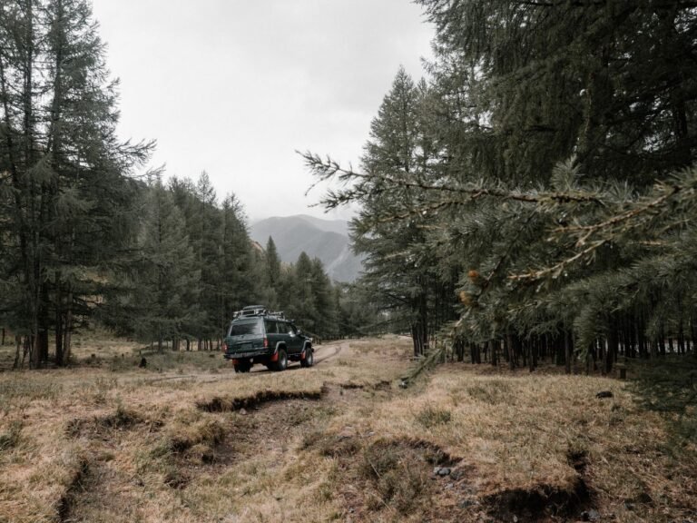 Car driving between trees through rough road leading to mountains in cloudy day