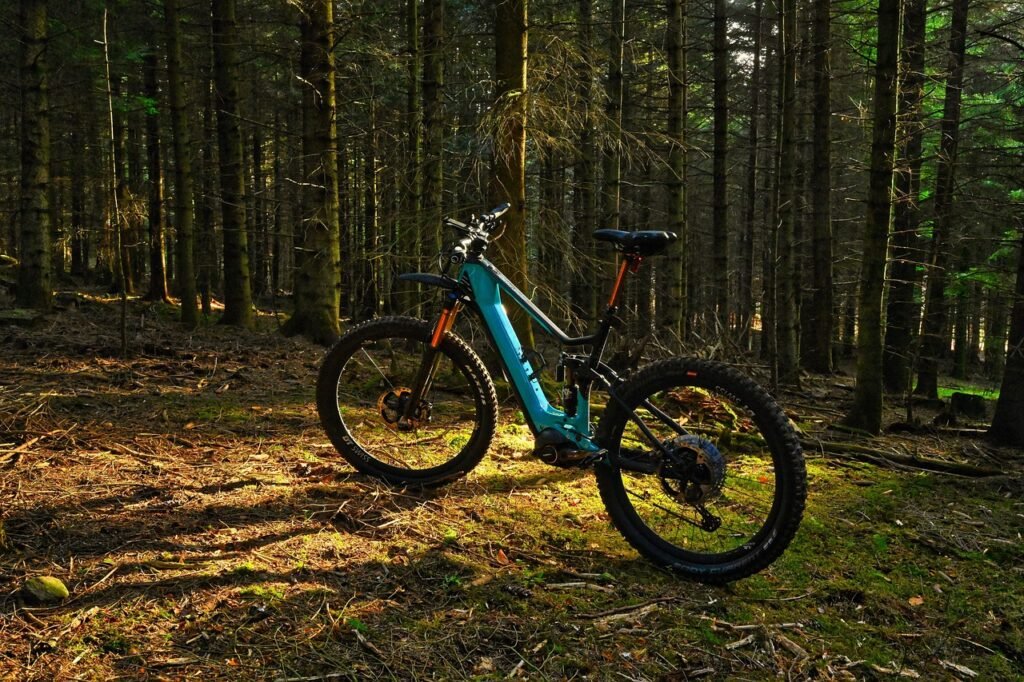 bicycle, adventure, nature, to travel, exploration, mountain bike, forest, recreation, activity, trees, the bike, e bike, emtb